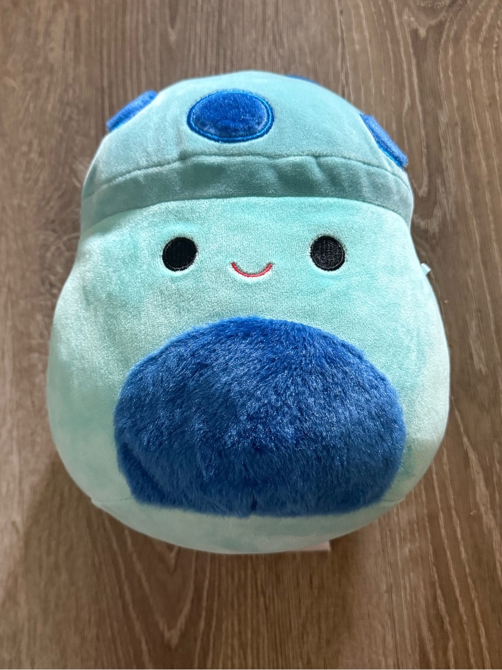 Ankur the Mushroom Squishmallow